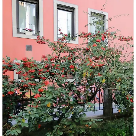 Lejlighed Residenza Cristoforo 1